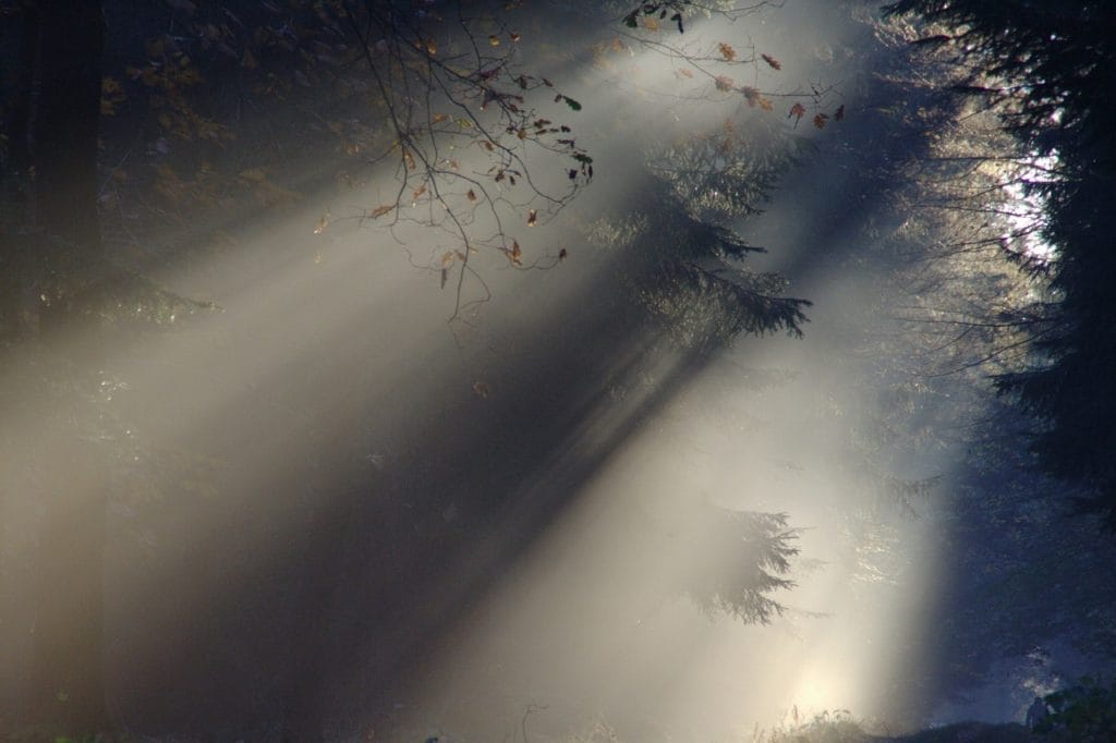 light streaming representing forgiveness