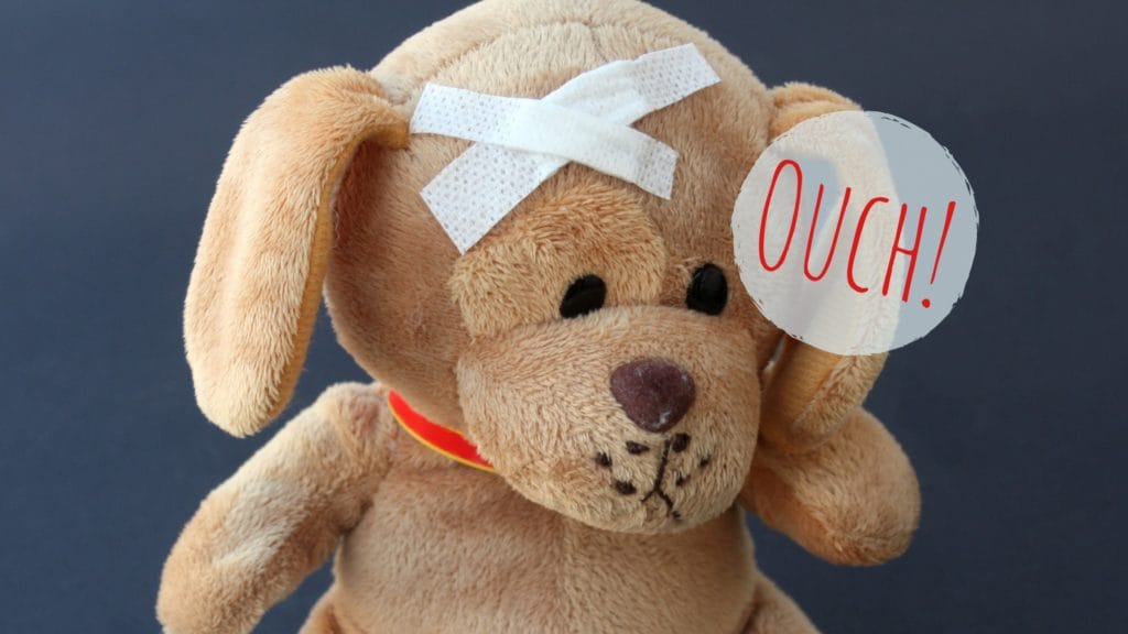 physical therapy bear