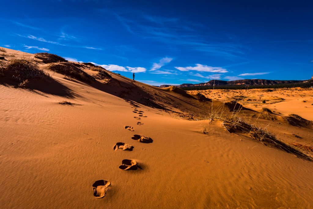 desert - John the Baptist