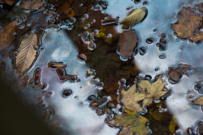 VIDEO: How Do You Find Your Way Through Grief?