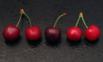 Paris of cherries and one single cherry