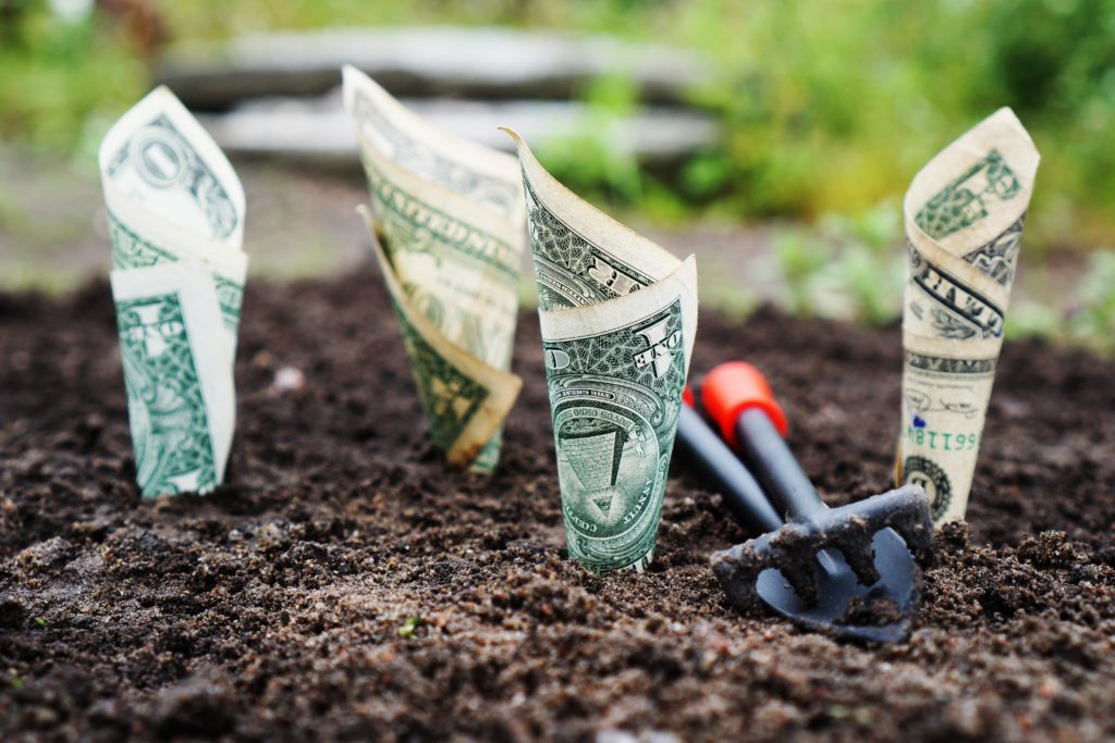 Dollars being planted - who should a Christian support