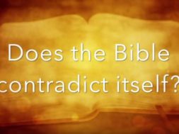 So, Where Does the Bible Come From? | Christian Questions Bible Podcast