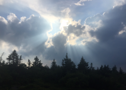 glorifying God