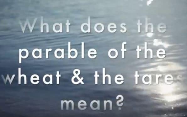 VIDEO: What Does the Parable of the Wheat and the Tares Mean?