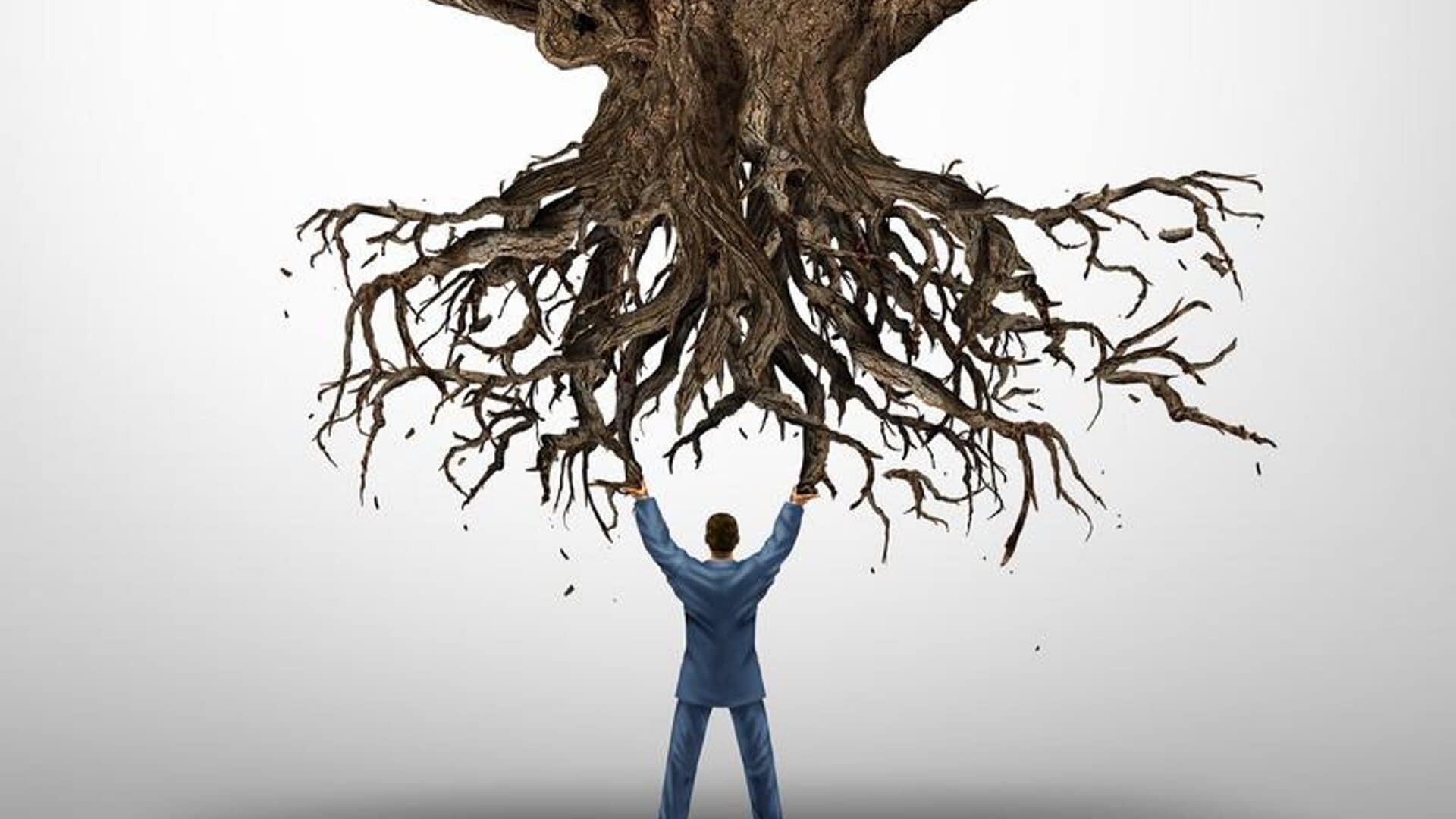 How Do You Handle Being Uprooted in Your Life?