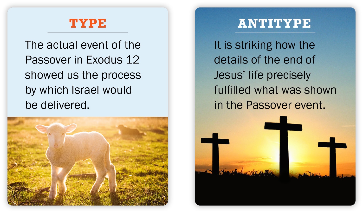 Type vs Antitype