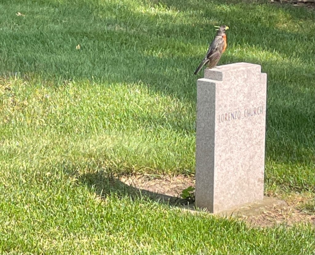 after-death communication