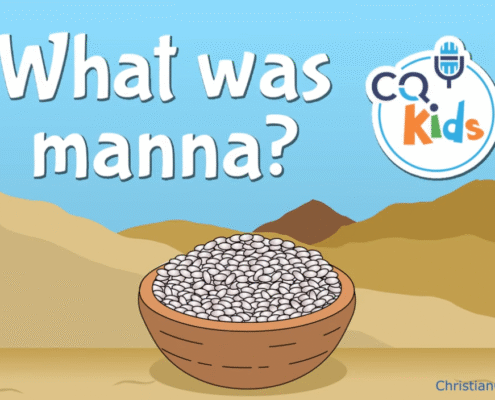what is manna