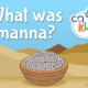 what is manna