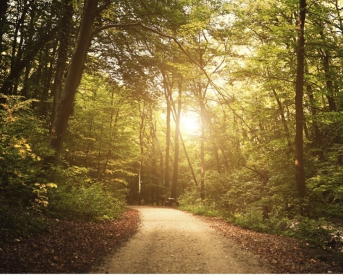 the way