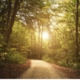 the way