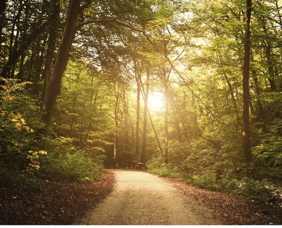 John 14:6—How Is Jesus ‘the Way’?