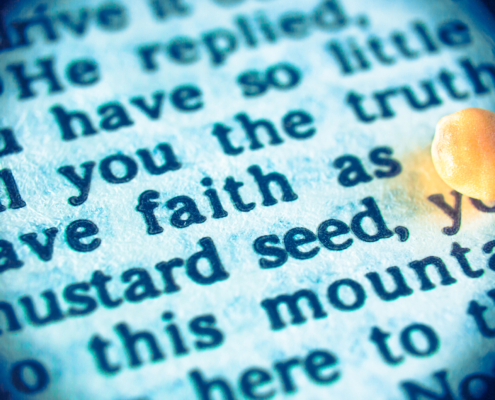 mustard seed