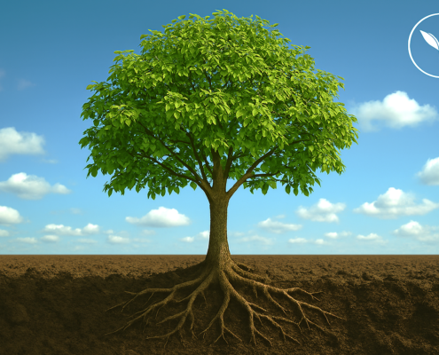 fully supplied Christian character