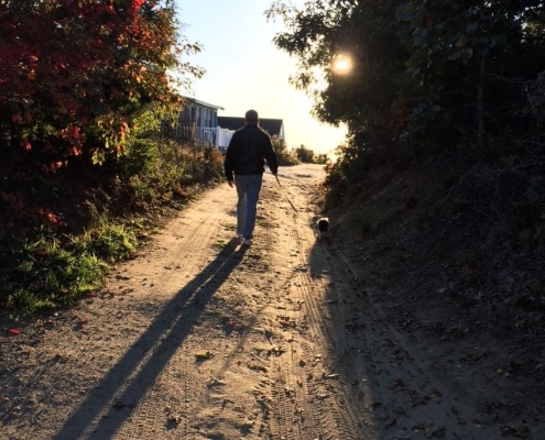 Person walking a sunlit dirt path with a small dog, surrounded by trees and long shadows