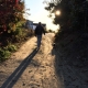 Person walking a sunlit dirt path with a small dog, surrounded by trees and long shadows