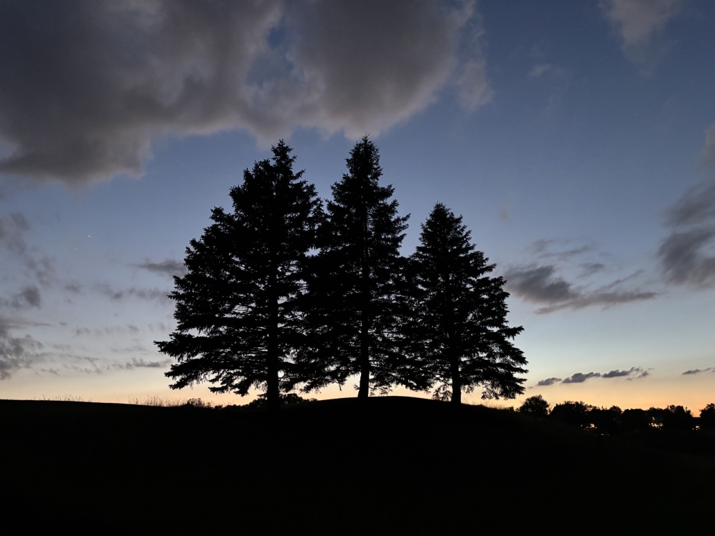 Silhouette of three tall evergreen trees on a hill against a twilight sky with soft orange and blue tones.