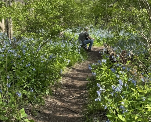 A peaceful forest with a man sitting down, deciding which way to turn.