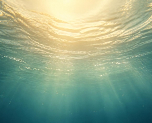 Underwater view looking up toward the rippled surface with sunlight streaming through the water.